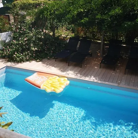 Griseor * Порто-Веккьо