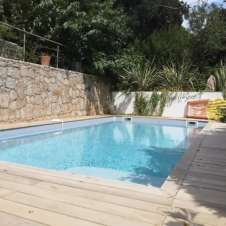 Griseor * Порто-Веккьо