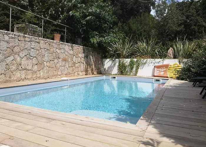 Griseor * Porto-Vecchio (Corsica)