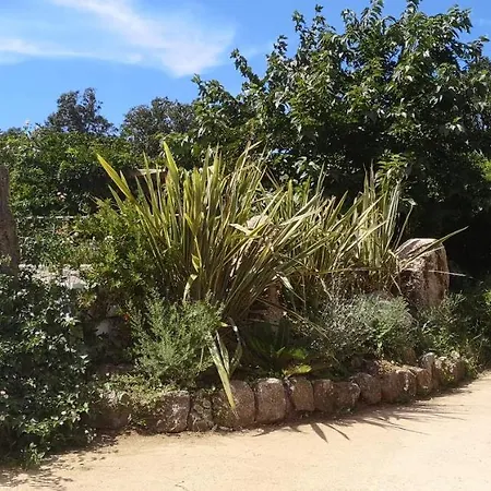 Griseor Πόρτο Βέκιο