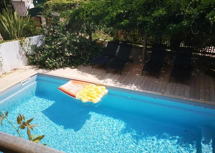 Griseor * Porto-Vecchio (Corsica)