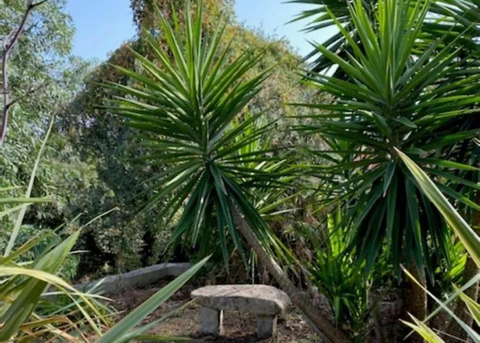 Vila Griseor Porto-Vecchio (Corsica)